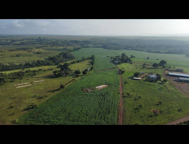 17HA FARM FOR SALE IN MIDDELBURG RURAL